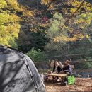 내장산국립공원 내장야영장 이미지