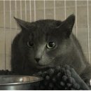 원신흥남로 이미지