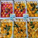 천금농장 이미지