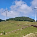 육백마지기 이미지