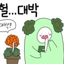 더숲더숲엔젤