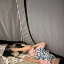 이너포레스트(원)
