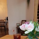 마린스타공인중개사사무소 이미지