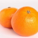 강우축산 이미지