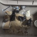 참다운농장 이미지