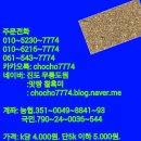 진도 무릉도원 이미지