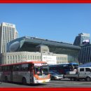 서울구경(시청앞,광화문광장,일본대사관앞등) 이미지
