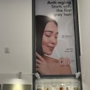 흰머리 | 시피모코리아 | 광교 두피관리 산모 흰머리관리 탈모관리 후기