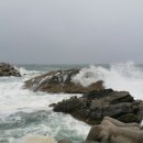 울진해양경찰서 이미지