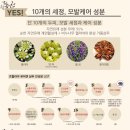 르퀼라야 퓨어텐샴푸 이용후기