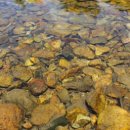 아이쉼터키즈풀빌라 이미지