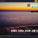 리앤애드