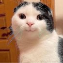 유한회사 장보고푸드 | 블로그 제목 뭐라해야될지 몰라서 검색까지 했지만 결국 제목이 요지경