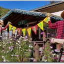 하얀허브 이미지