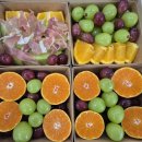 상록7길 | 안산 산악회 단체도시락 100개 주문 후기, 종무식 도시락도 김언니도시락이 인기인 이유