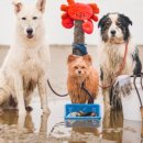 동산동-04 이미지