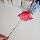 식물나라화원 이미지
