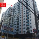 진성투토펠리체 이미지