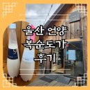 늘푸른25시슈퍼 | 울산 언양 복순도가 양조장 후기｜프리미엄 손막걸리 · 탁주 시음·가격·선물 추천