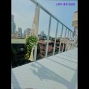 스테이봄뜻