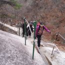 하이송 이미지