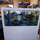 송백횟집 이미지