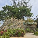 티나라 | 일본 오키나와 정글리아 티켓가격 주차 식사 꿀팁 코스 포토존 먹거리 후기 (내돈내산)