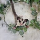 와우펫앤쥬(기장점) 이미지