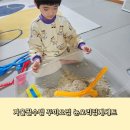 마미꾸미