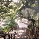 그늘막74 이미지