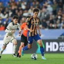 박용우 카카오 검색결과