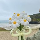 풍선이좋아제주 | [제주 환갑여행 이벤트] 함덕 무지개상점 인 제주 풍선 꽃다발 서프라이즈💛