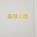 뉴플레쉬