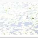 우포마을민박 이미지