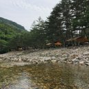 솔밭캠프장 네이버블로그