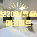 에코미르 이미지