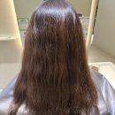 헤어103 이미지