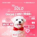 제주에서 이미지