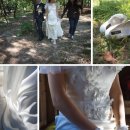 대지디자인 이미지