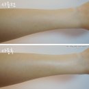 건성피부 화장품 - <b>캐롤</b><b>프리스트</b> 호호바오일 ♪