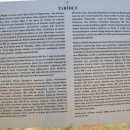 파타라PATARA