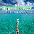 노하 | 미야코지마 투어 야비지 스노쿨링 프리다이빙 액티비티 업체 예약 추천 후기 사시바노하네 sashiba nohane