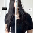 차이헤어살롱 | 💇‍♀️ [경기도/평택] 1인샵 반려견 동반 평택비전점 차이헤어살롱 방문 후기