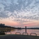 동탄공원 2길 | 동탄호수공원 주차장 주차타워 주말 이용 후기