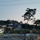 예그리나카페 이미지