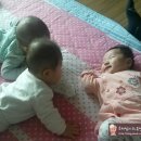 우리수예 이미지