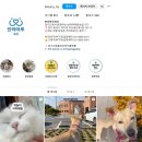 허쉬HS | 경기도 반려마루 화성 방문 후기 [반려묘, 사지말고 입양하세요]