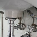 남양건기 이미지