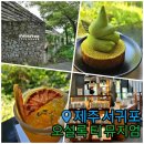 오설록 교차로 | [제주/서귀포시] '오설록 티 뮤지엄' 방문 솔직후기 / 내돈내산