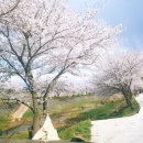 갈산리 마을회관 이미지